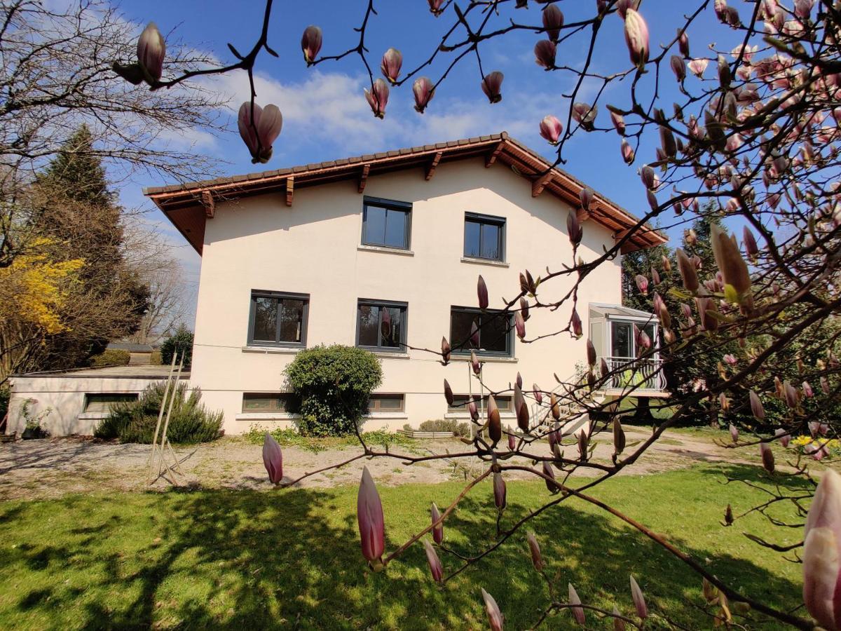 Les Pics Verts Apartment Annecy Bagian luar foto