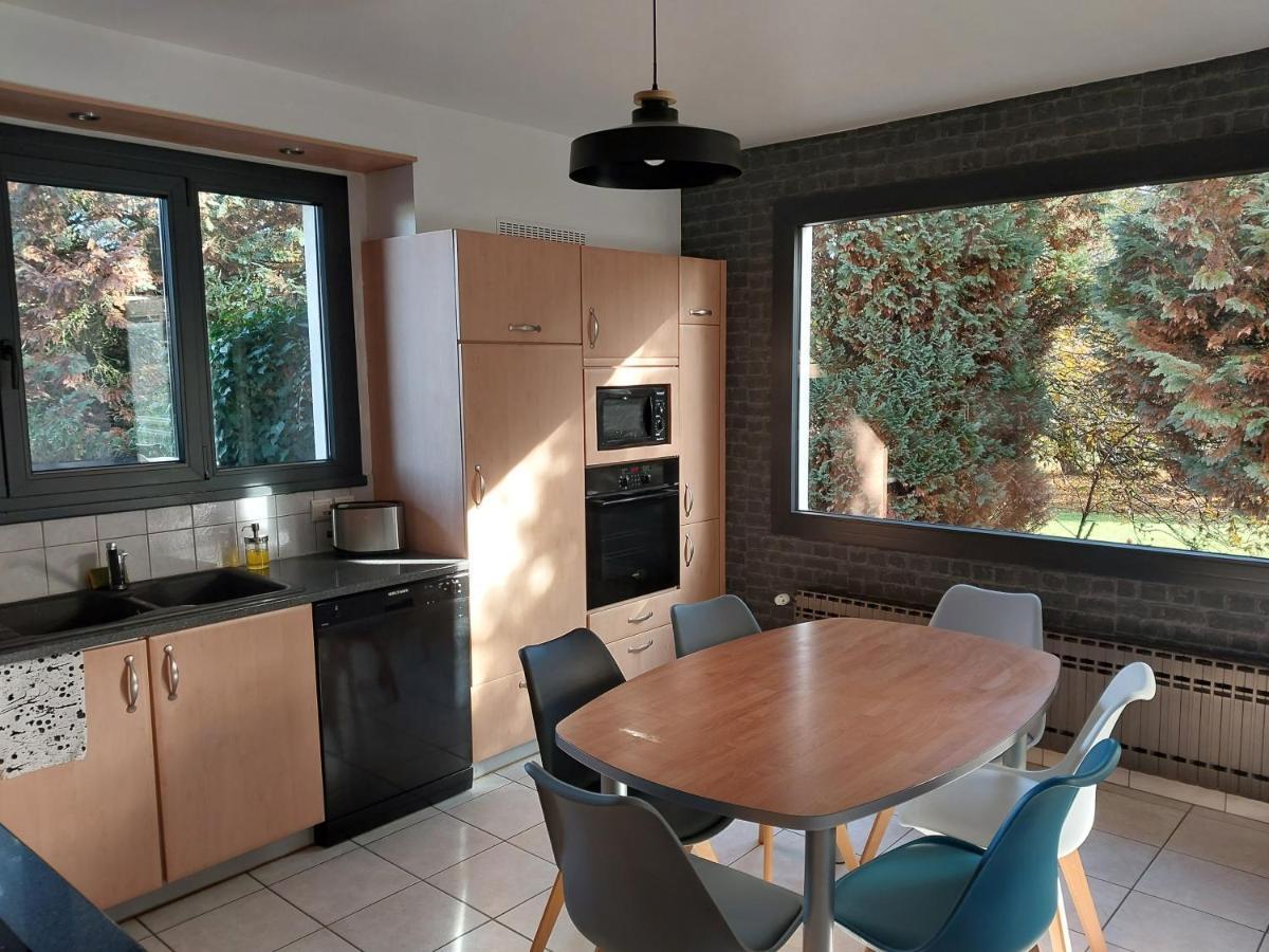 Les Pics Verts Apartment Annecy Bagian luar foto